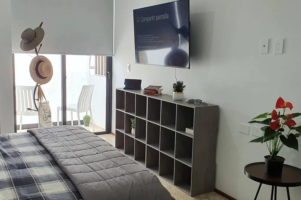 Apto Estudio Con Rooftoo En Playa Del Carmen